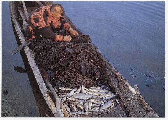 Mann i kofte i båt med garn og fisk