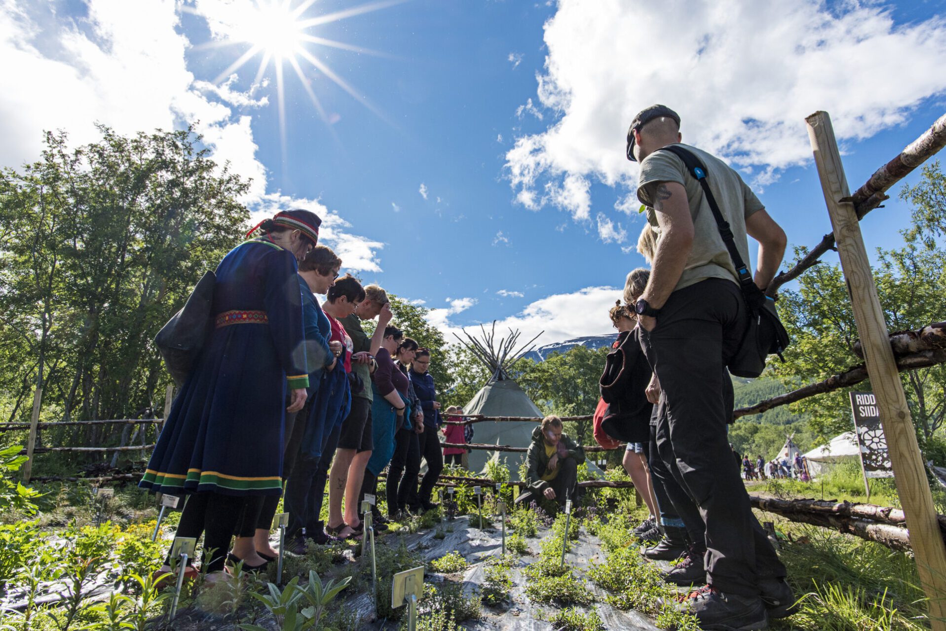 Bibliotek: bokhyller full av bøker