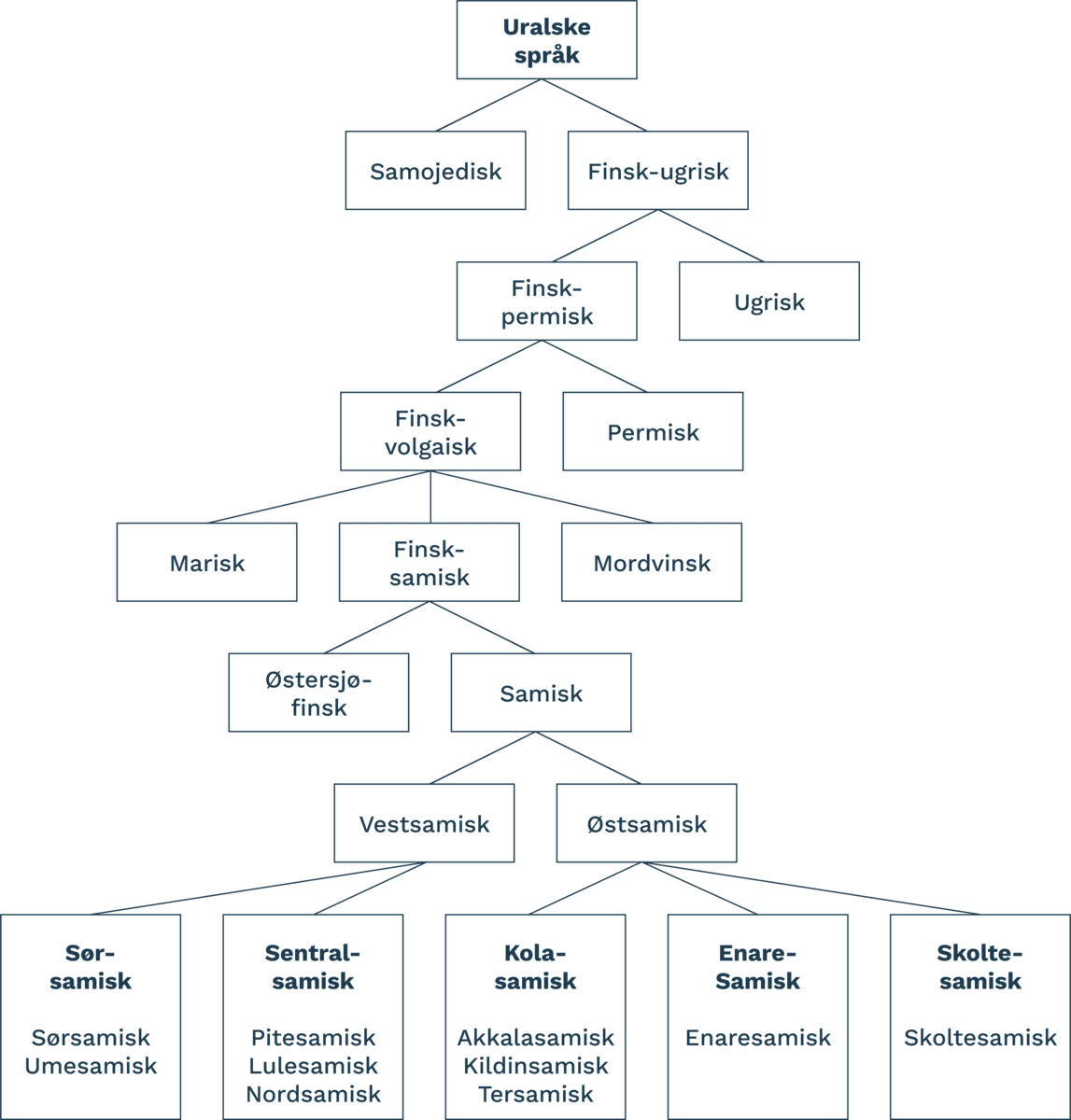 standard_samiske-sprak_bm