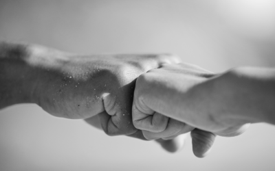 New partnership