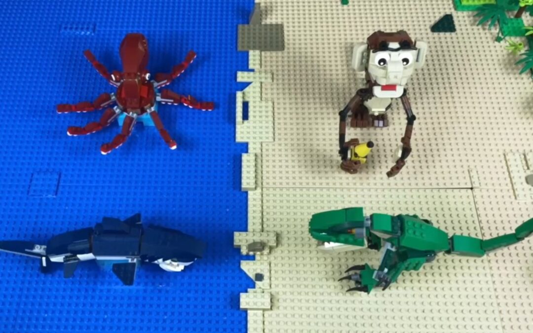 Bricks of life – the evolution of animal complexity (at)