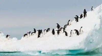 HelPed lager egne hjemmesider til hjelp for ansatte